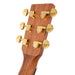 Vintage Mahogany Series 'Grand Auditorium' Cut-Away Electro-Acoustic Guitar ~ Satin Mahogany - Westmount Music